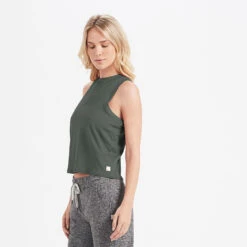 Energy Top | Oregano